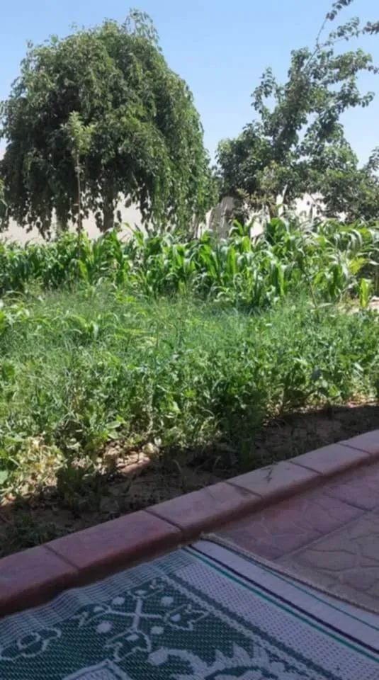 للبيع مزرعة في بالا بعد جسر جسرين