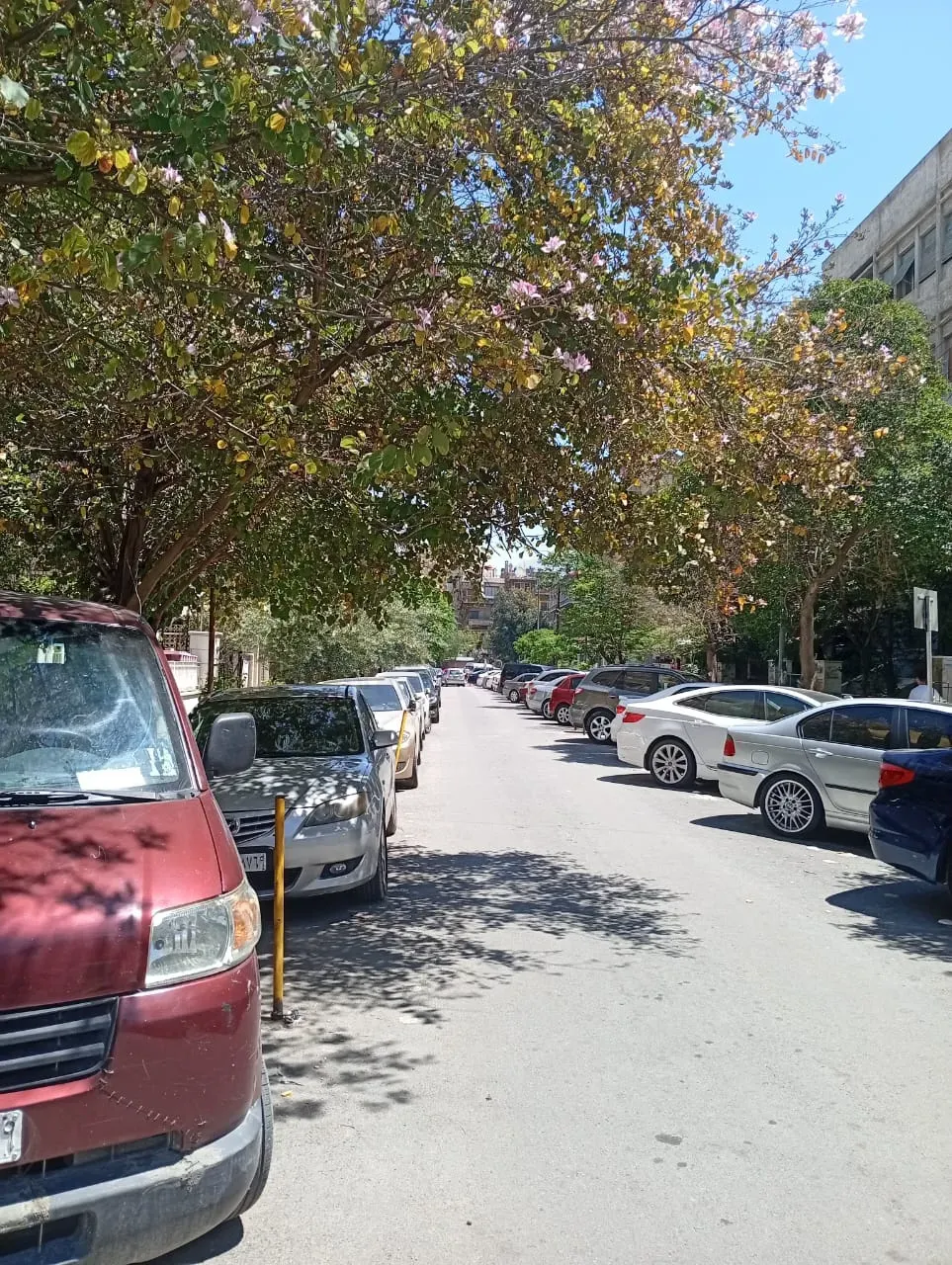 uploads/advertisements/images/apartment_for_sale_in_Abou_Roummaneh_damascus_-_dalelook_1-1779393805056.webp