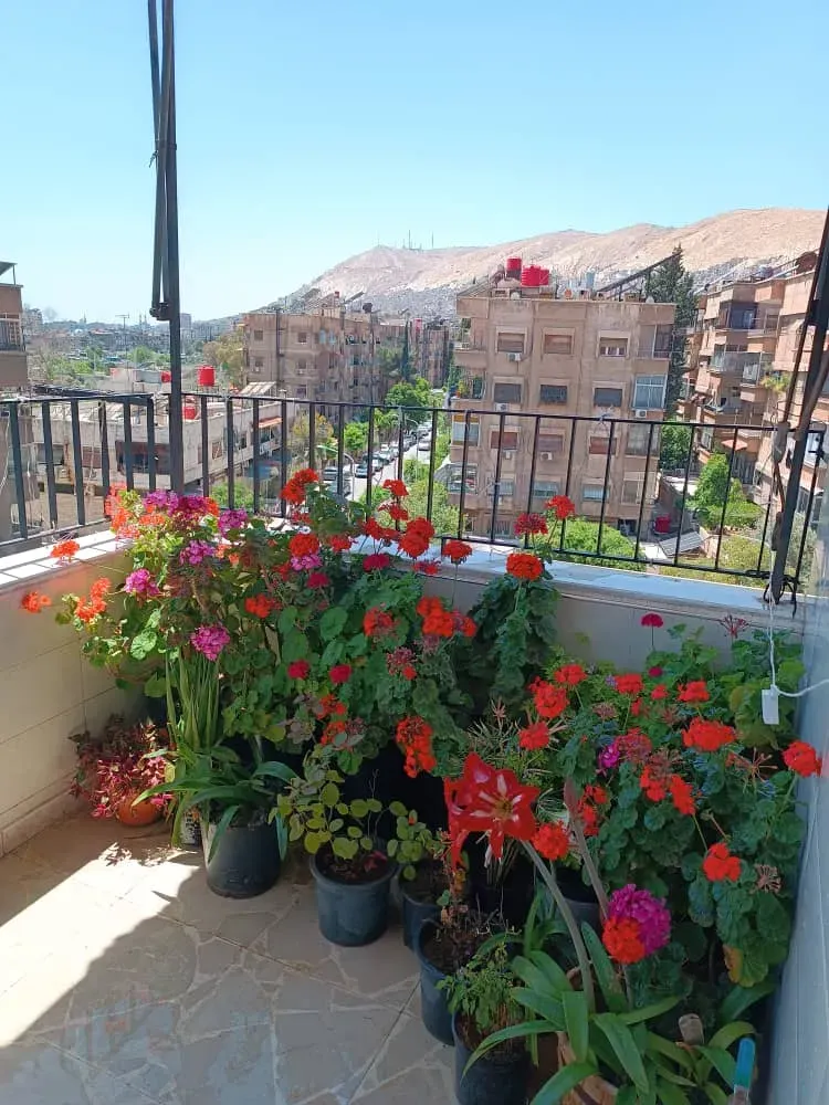 uploads/advertisements/images/apartment_for_sale_in_Masakin_Barza_damascus_-_dalelook__7_-1779717100490.webp