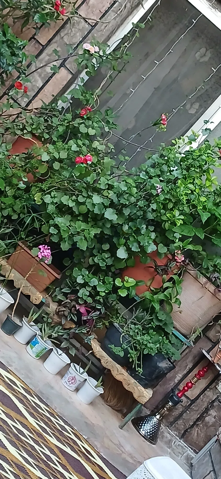 بيت عربي
