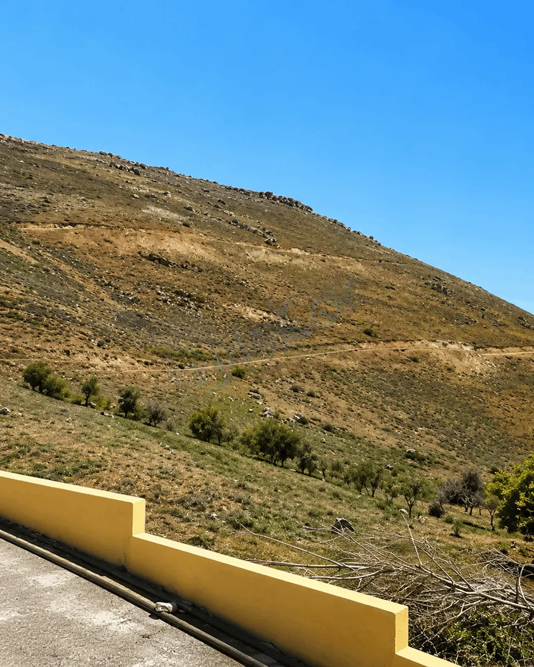 uploads/advertisements/images/land_in_damascus_for_sale_-_dalelook__2_-1778584021886.webp