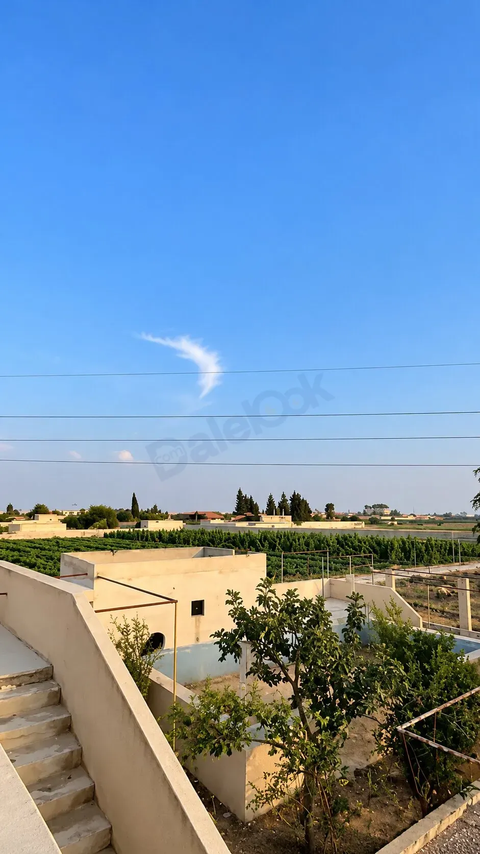 uploads/advertisements/images/أرض_للبيع_في_ريف_دمشق_حموريا_الأشعري__1_-1792431155580.webp