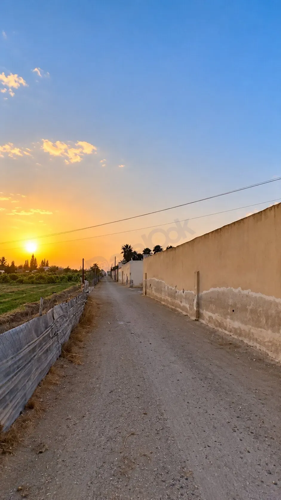uploads/advertisements/images/أرض_للبيع_في_ريف_دمشق_حموريا_الأشعري__4_-1792431155579.webp
