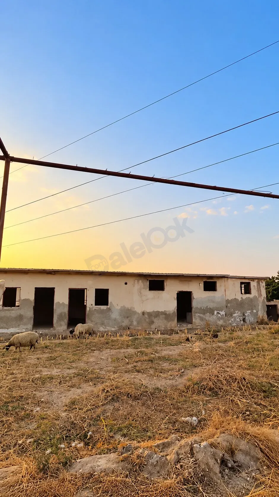 uploads/advertisements/images/أرض_للبيع_في_ريف_دمشق_حموريا_الأشعري__5_-1792431155580.webp