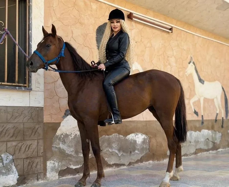 فرس فرنسية محسنة للبيع في الغزلانية