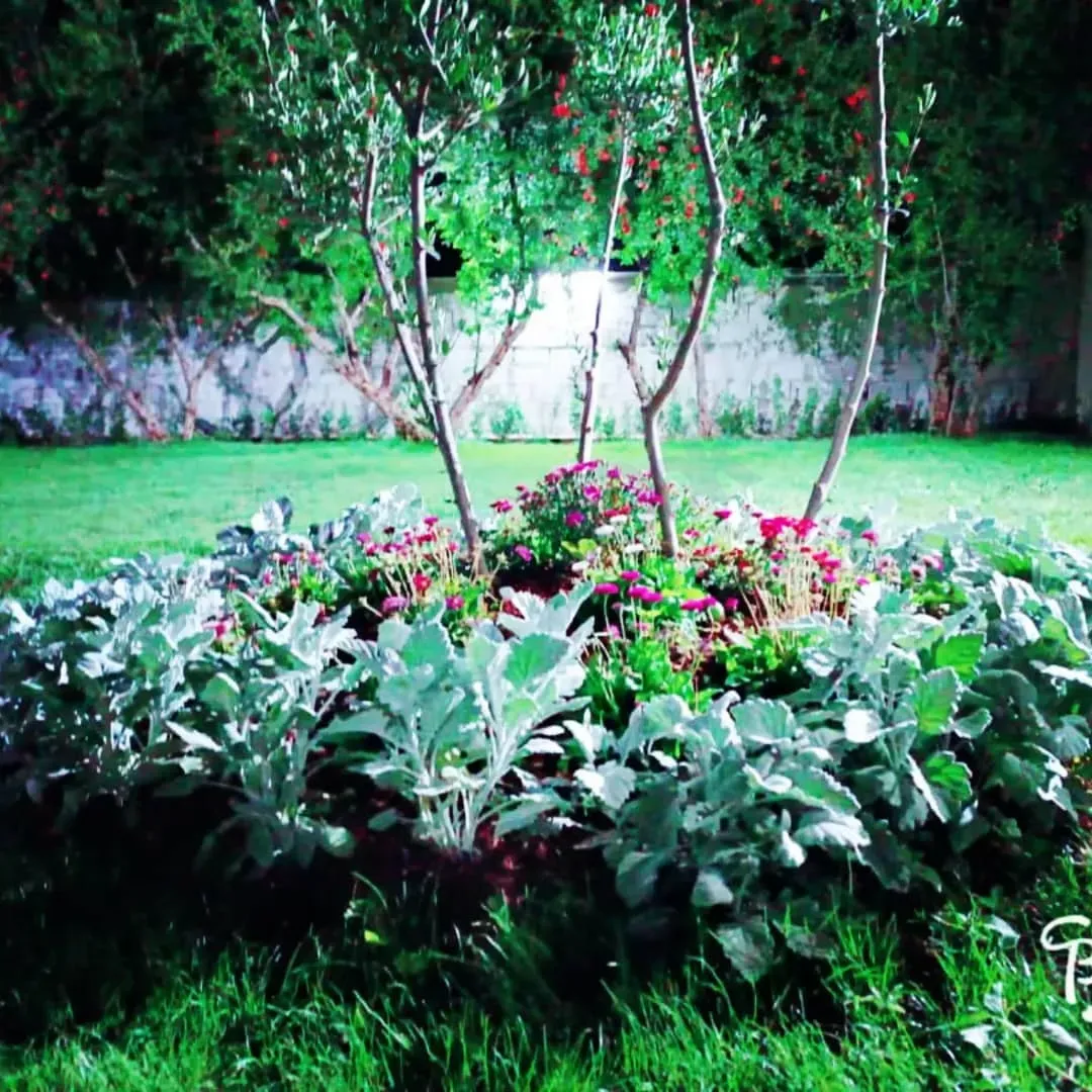 uploads/advertisements/images/للإيجار_اليومي_فيلا_قصر_الوسيم_في_كروم_مضايا__4_-1783383143563.webp