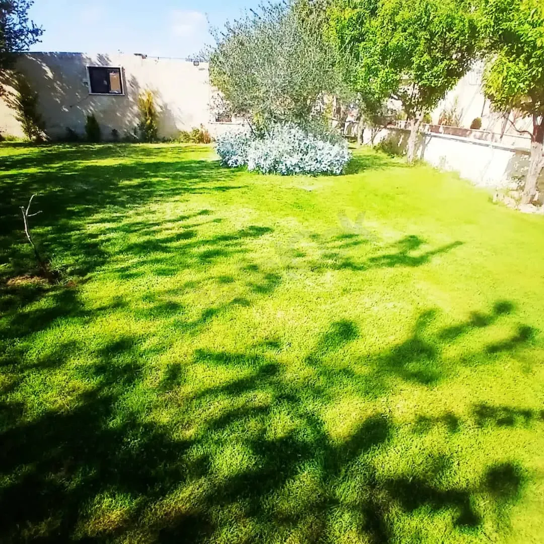 uploads/advertisements/images/للإيجار_اليومي_فيلا_قصر_الوسيم_في_كروم_مضايا__7_-1783383143563.webp
