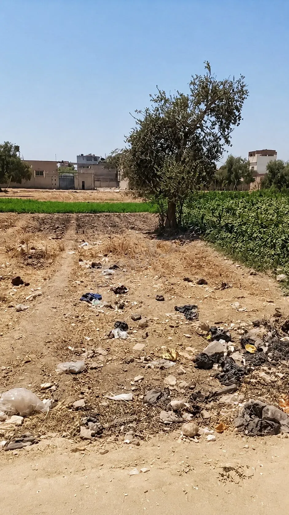 للبيع أرض طابوا اخضر في بيت سوا