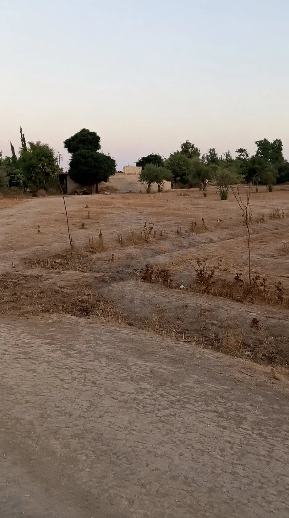 للبيع أرض في العوطة الشرقية حمورية