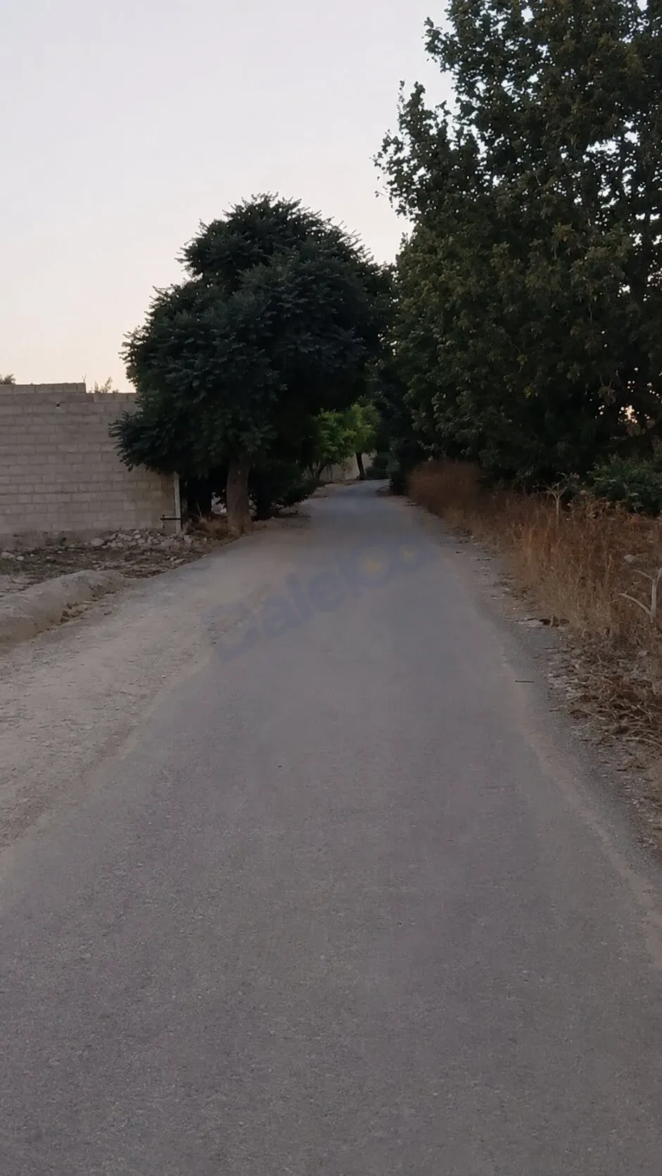 للبيع أرض في العوطة الشرقية حمورية