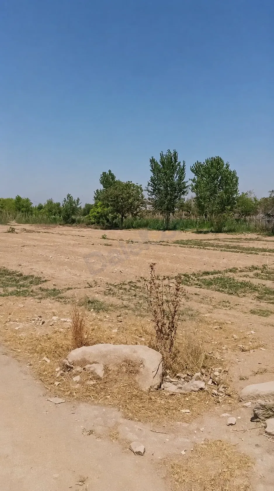 للبيع أرض في الغوطة الشرقية بيت سوا