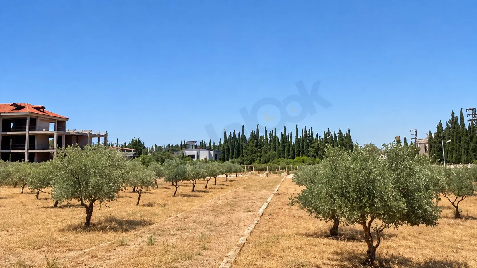 للبيع أرض مميزة وبسعر لقطة في يعفور شارع الفيحاء