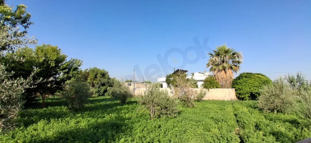 للبيع بيت ريفي مع أرض زراعية في دوما