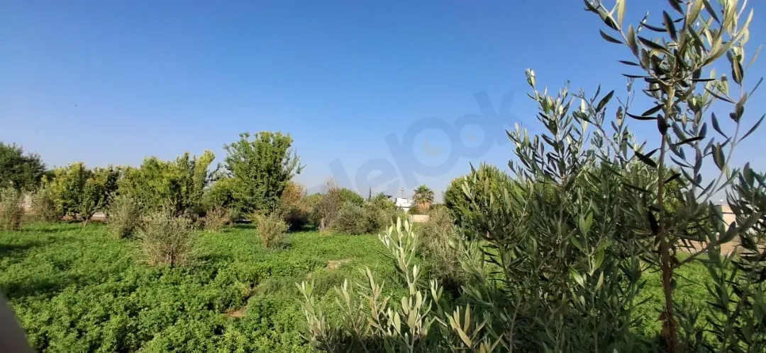 للبيع بيت ريفي مع أرض زراعية في دوما
