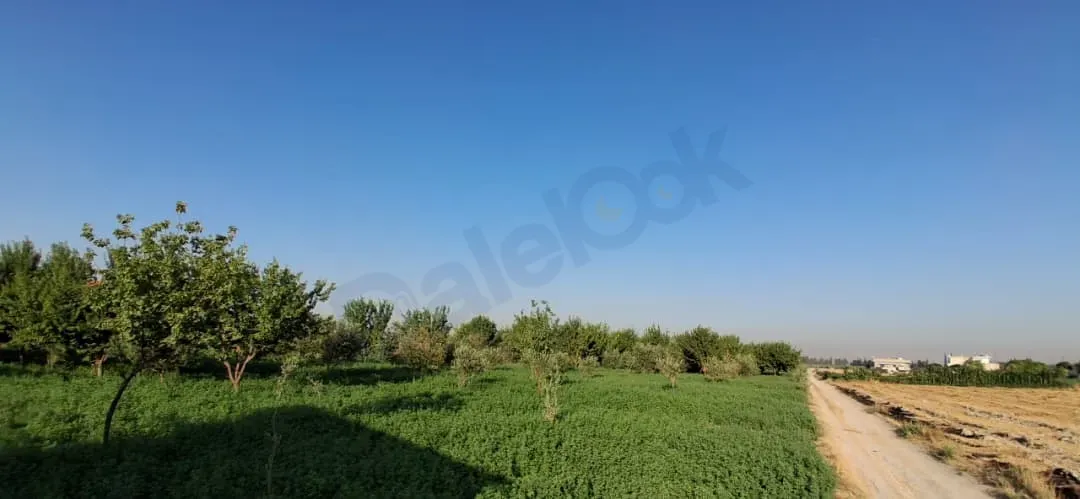 uploads/advertisements/images/للبيع_بيت_ريفي_مع_أرض_زراعية_في_دوما__5_-1785507544989.webp