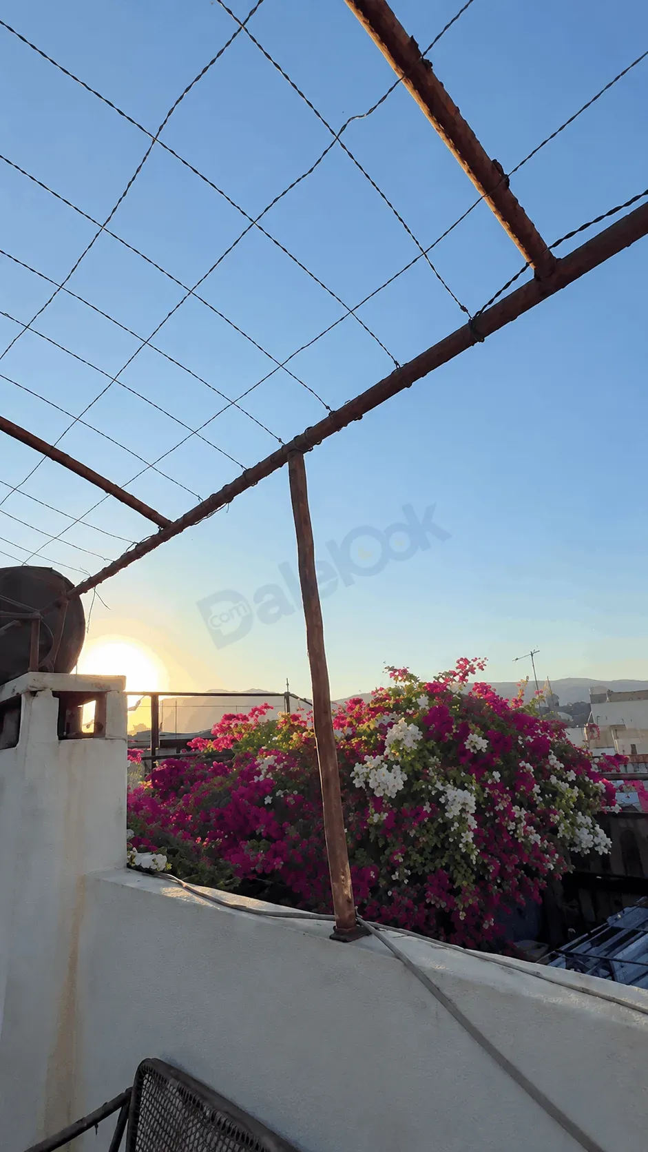 uploads/advertisements/images/للبيع_بيت_عربي_دمشقي_بمنطقة_القيمرية__5_-1784657675986.webp