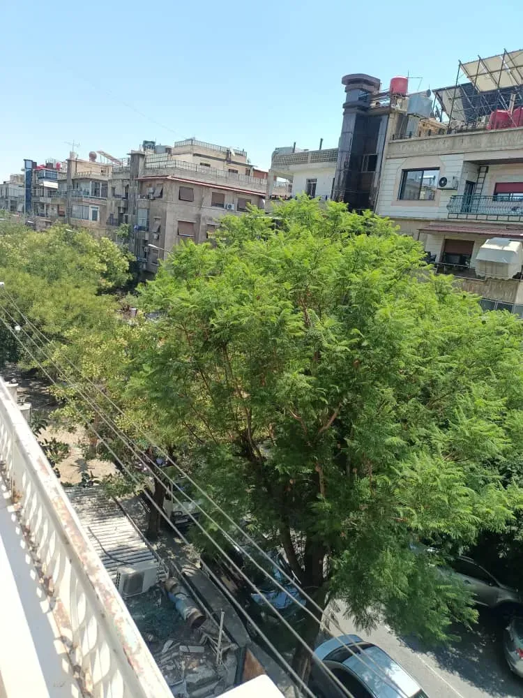 uploads/advertisements/images/للبيع_شقة_في_المزرعة_بإطلالة_مفتوحة__13_-1780411824295.webp
