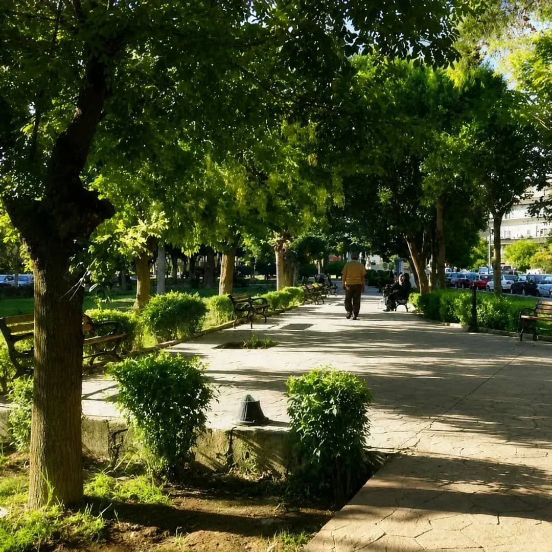 uploads/advertisements/images/للبيع_شقة_في_المزرعة_بجانب_بوز_الجدي-1782940430097.webp