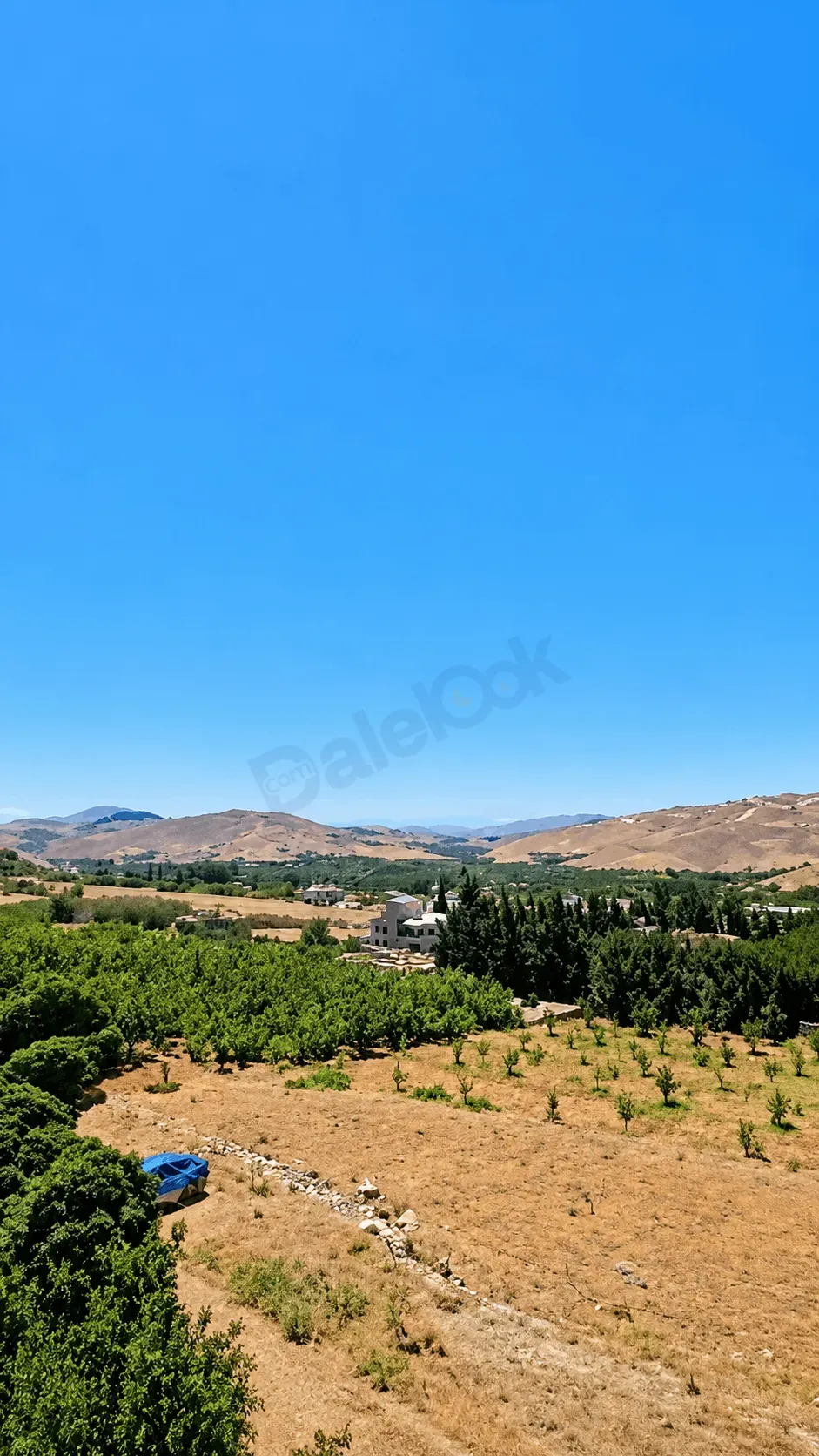 uploads/advertisements/images/للبيع_فيلا_بمنطقة_التكية___مضايا__2_-1782738365977.webp