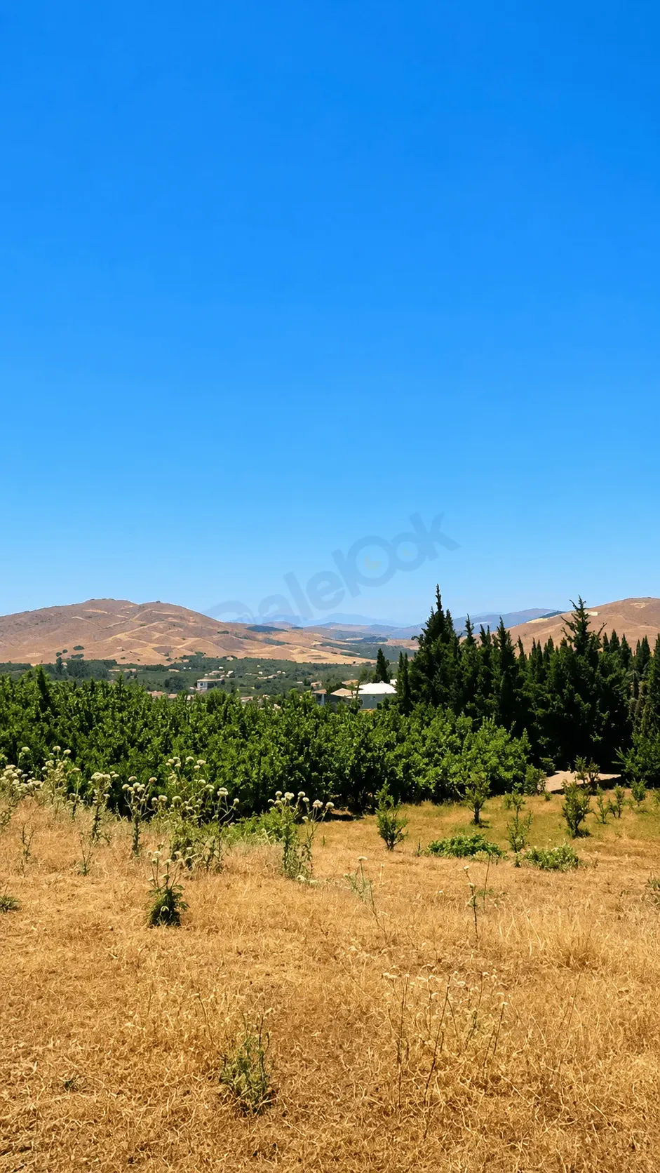 uploads/advertisements/images/للبيع_فيلا_بمنطقة_التكية___مضايا__3_-1782738365977.webp