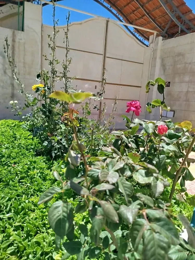 uploads/advertisements/images/للبيع_فيلا_في_الغوطة_الشرقية_الريحان_٥-1781792854494.webp