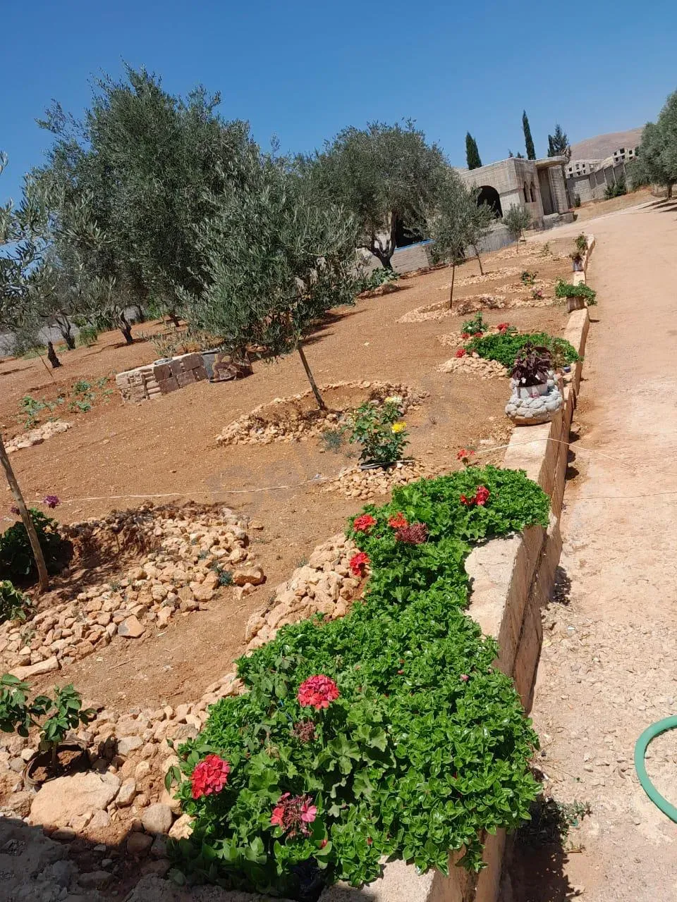 uploads/advertisements/images/للبيع_فيلا_لقطة_في_الديماس__1_-1784489529247.webp
