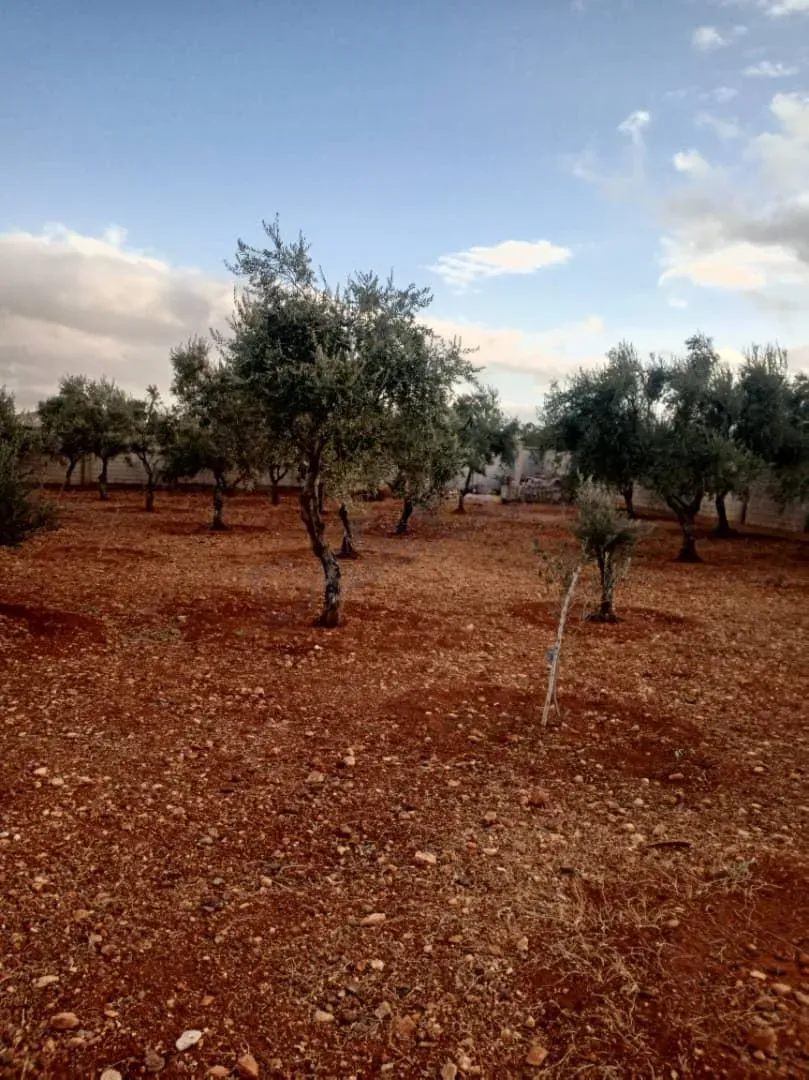 uploads/advertisements/images/للبيع_فيلا_لقطة_في_الديماس__6_-1784489529246.webp