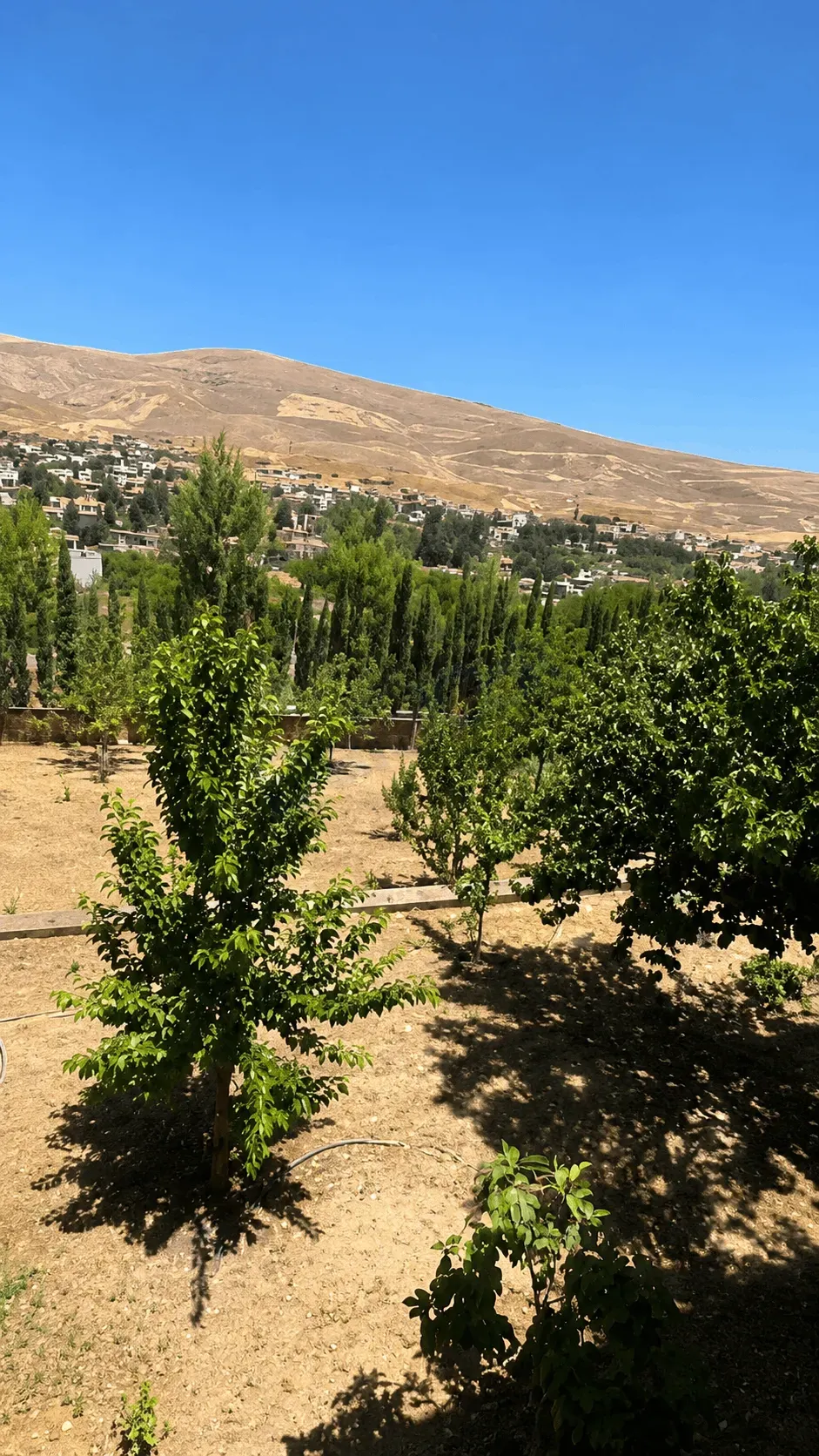 uploads/advertisements/images/للبيع_فيلا_للبيع_في_التكية_مضايا__11_-1782748978894.webp