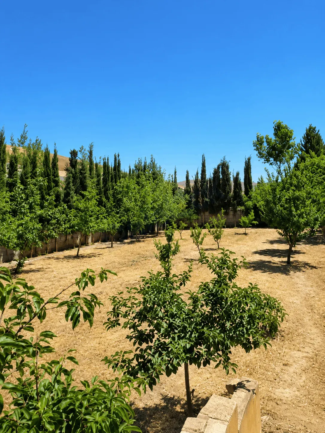 uploads/advertisements/images/للبيع_فيلا_للبيع_في_التكية_مضايا__9_-1782748978892.webp