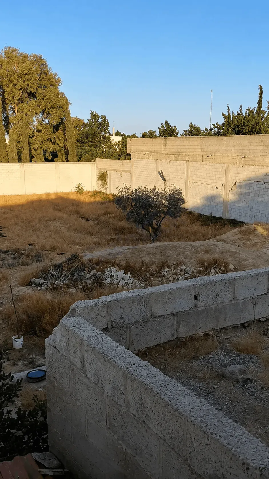 للبيع مزرعة تصلح لمشارع تجارية في المحمدية