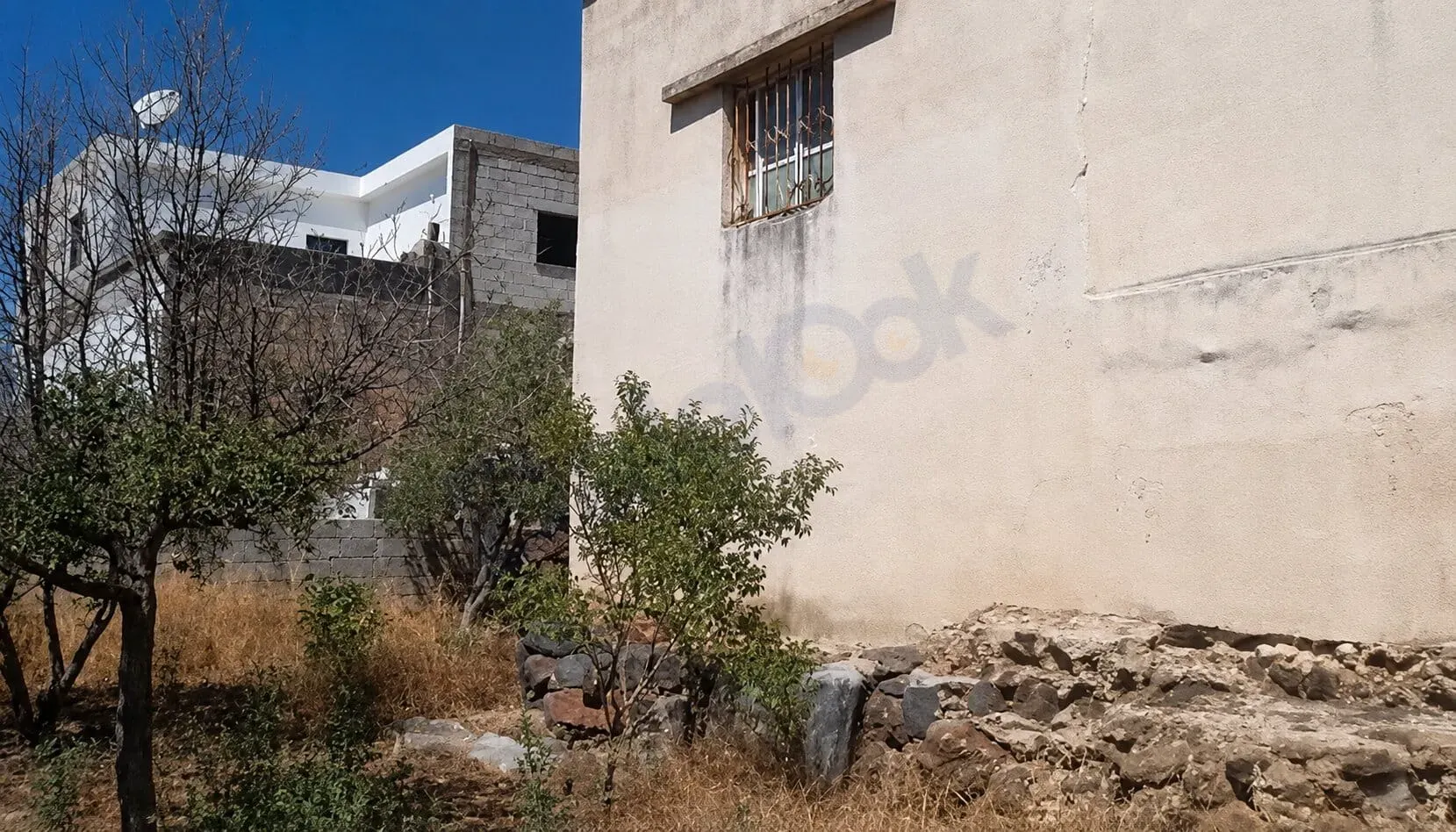 uploads/advertisements/images/للبيع_مزرعة_في_السويداء_القريا__5_-1786293513362.webp
