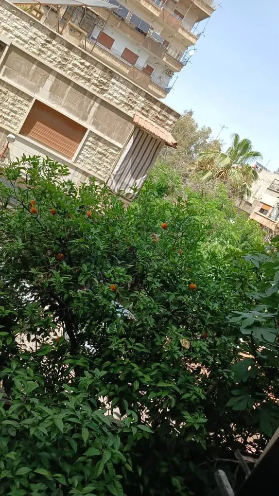 للبيع منزل اطلالة حلوة في الزاهرة
