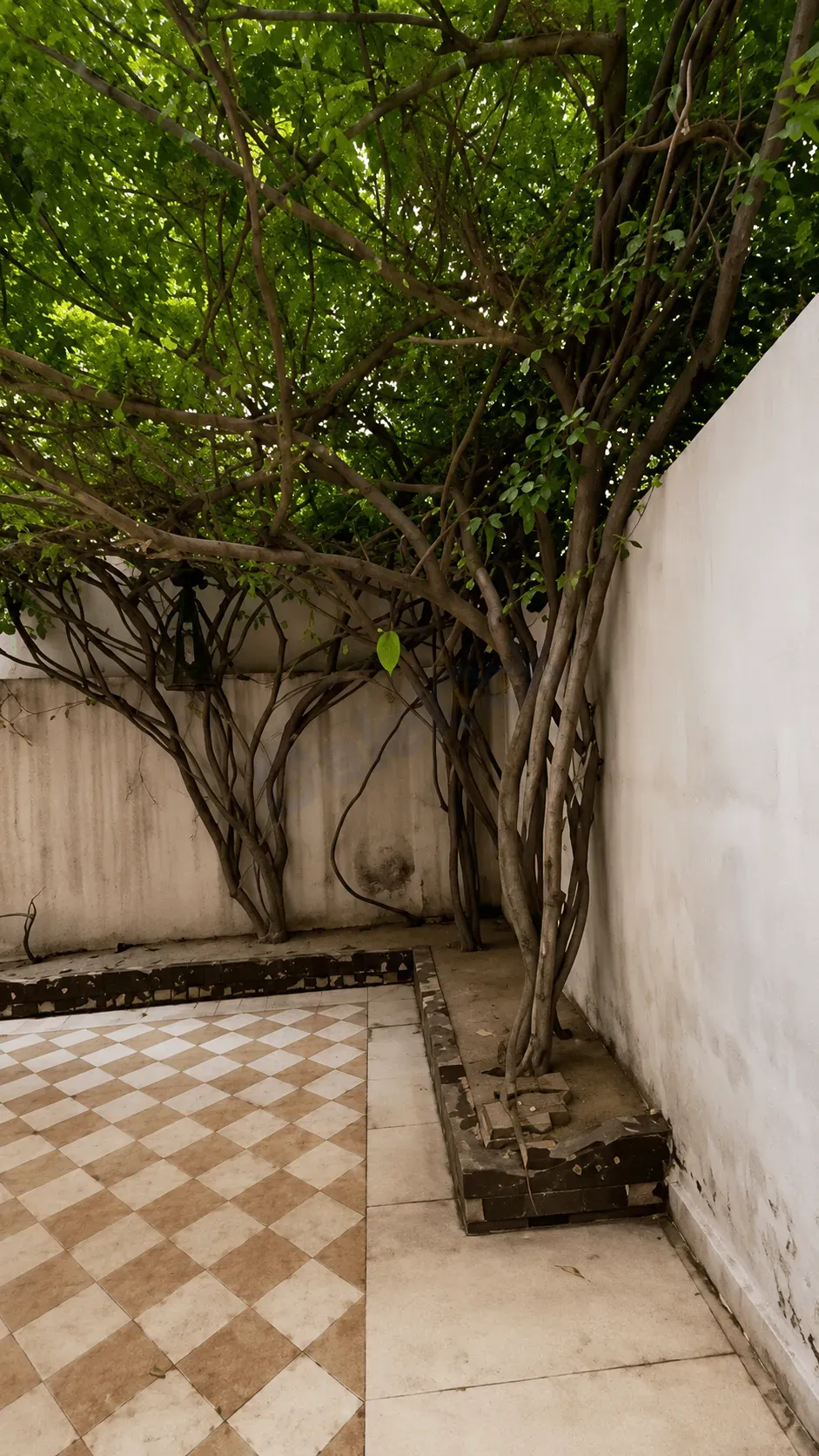 uploads/advertisements/images/للبيع_منزل_سكني_في_الغساني__1_-1784842458834.webp