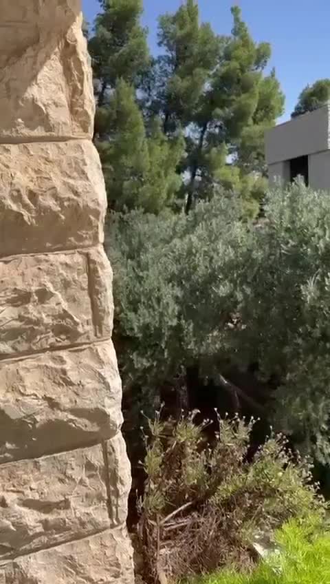 ​للبيع فيلتين ضمن أرض واحدة في يعفور شارع السفراء.mp4