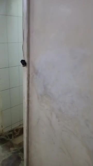 شقة للبيع زاهرة جديدة من المالك مباشرة.mp4