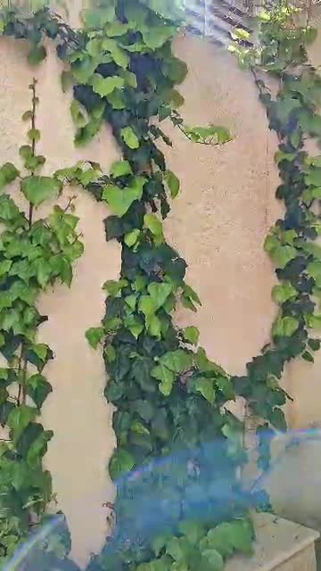 فيلا طريق المطار الجسر الخامس حتيتية التركمان.mp4