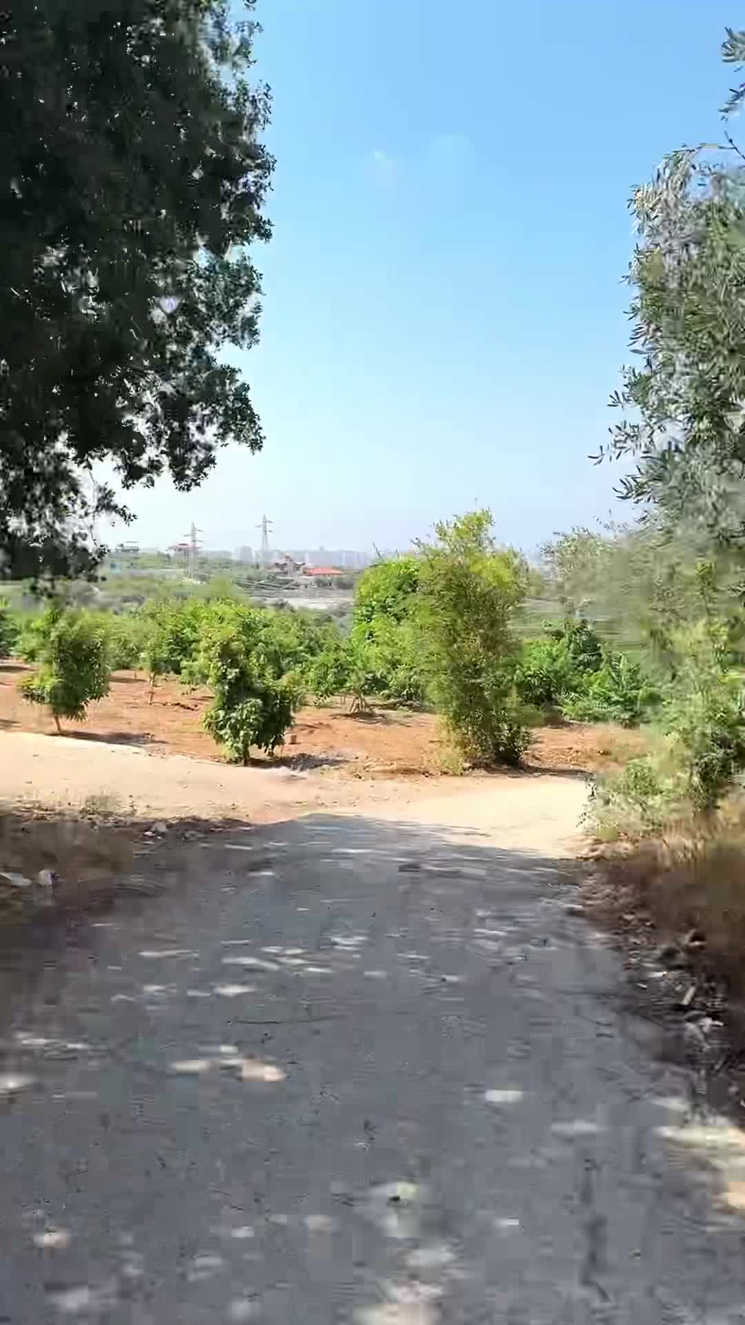 للبيع أرض سكنية في طرطوس دوير الشيخ سعد.MP4