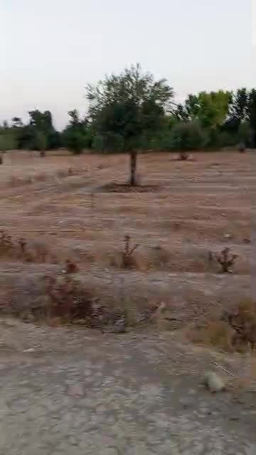 للبيع أرض في العوطة الشرقية حمورية.mp4