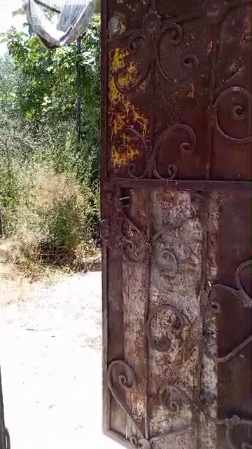 للبيع أرض مشجرة مع غرفتين في بيت سوا.mp4