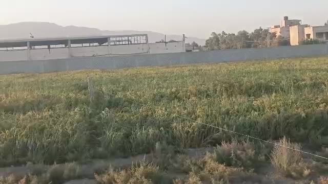 للبيع أرض من المالك في عدرا البلد.mp4