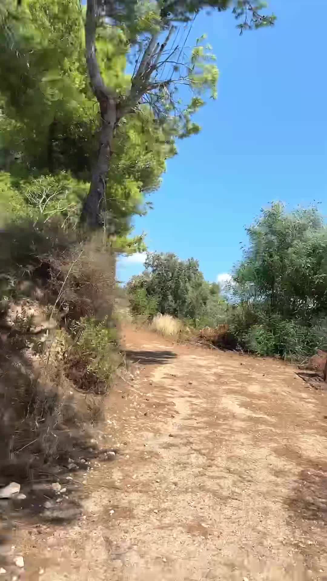 للبيع ارض زراعية في طرطوس بملكة.MP4