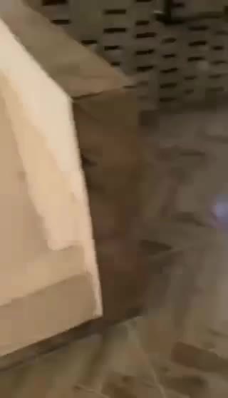 للبيع شقة إكساء ملكي في الهامة.mp4