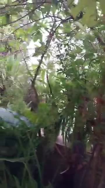 للبيع شقة في المالكي مقابل السفارة الأمريكية.mp4