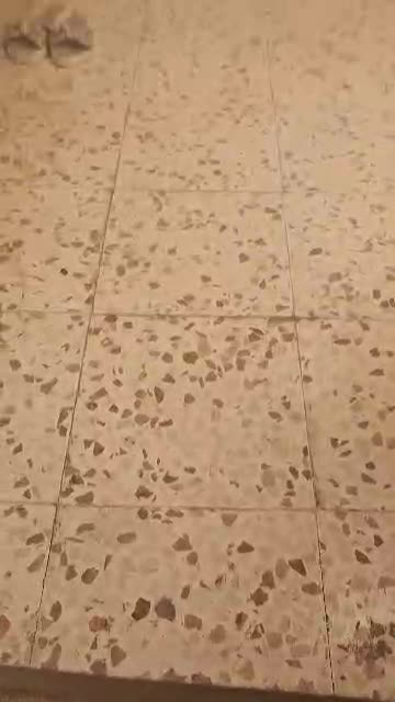 للبيع شقة في ببيلا سوق شرائي.mp4