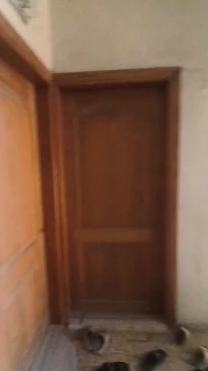 للبيع شقة في حمورية.mp4