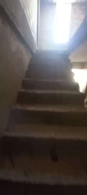للبيع مصنع على العضم في عدرا الصناعية.mp4