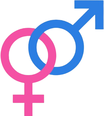 Gender