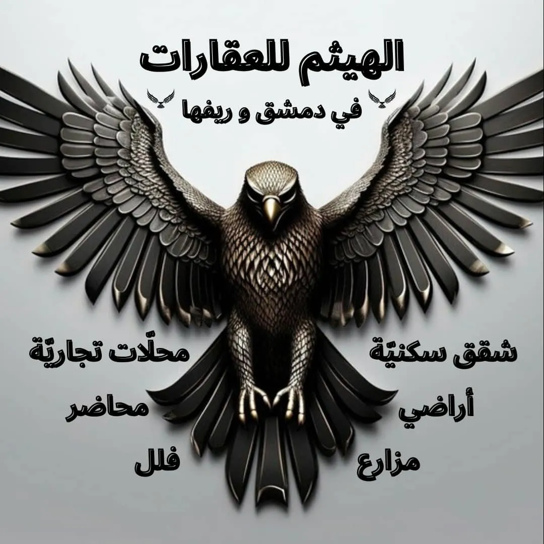 هيثم العسه